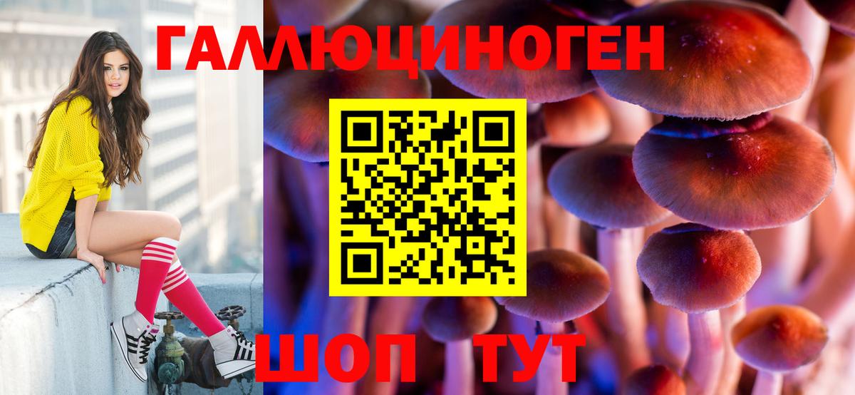 Псилоцибиновые грибы мухоморы  Псилоцибиновые грибы GOLDEN TEACHER  Вход с VPN  Чапаевск 